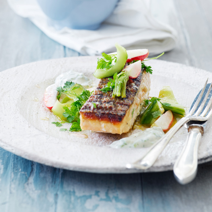 Grillet-laks-med-purløgscreme,-agurk,-radise-og-dild_Lindahls2210